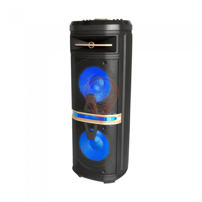 120W Rechargeable Trolley Speaker One Wireless + One Wired Microphone RF Control RGB 2*10 inch 