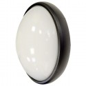 8W Dome Light Oval Black Body White Waterproof 