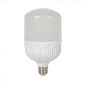 LED Bulb - 24W E27 T100 Big Ripple Plastic Warm White