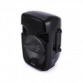 15W Rechargeable Trolley Speaker Microphone RF Control RGB 8 inch 