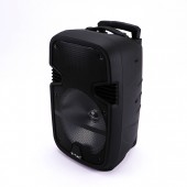 35W Rechargeable Trolley Speaker Microphone RF Control RGB 12 inch 