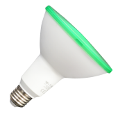 LED Lampe - 15W PAR38 E27 IP65 Grün